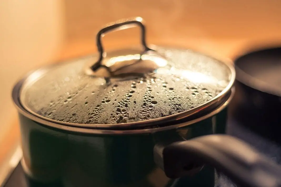Cooking Pot
